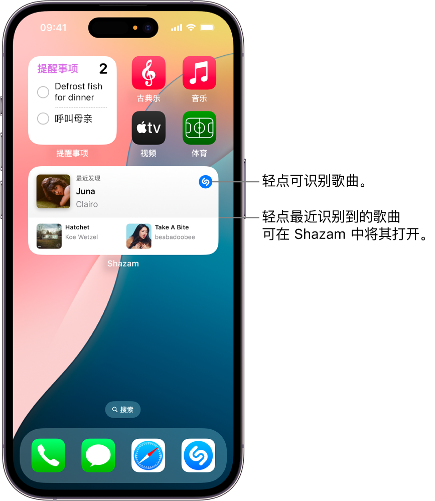 iPhone 上的“今天”视图显示 Shazam 小组件