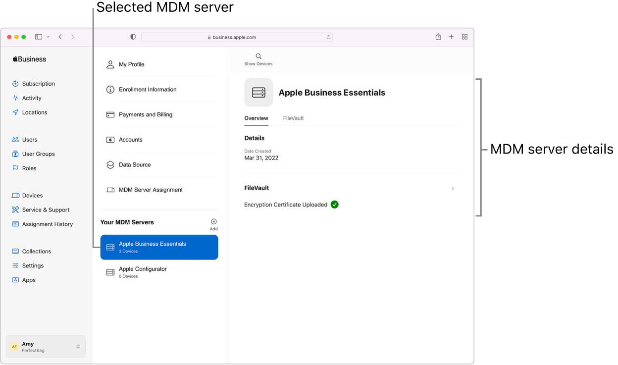 An Apple Business Essentials screenshot of the Device Management Services window with a selected server and information about that server.