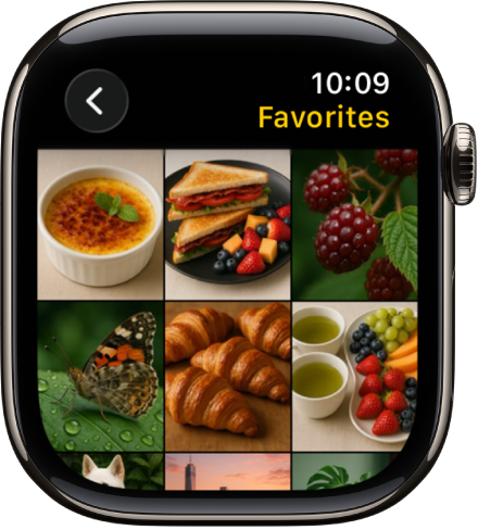 تطبيق الصور على Apple Watch يعرض ألبومًا يسمى المفضلة، مع عدة صور ظاهرة في شبكة.