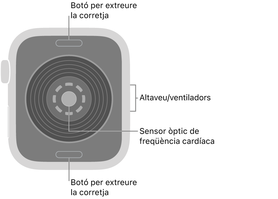 La part de darrere de l’Apple Watch SE 3 mostra els botons per obrir la corretja a dalt i a baix; els sensors òptics cardíacs al mig, i l’altaveu i les sortides de ventilació a la part lateral del rellotge.
