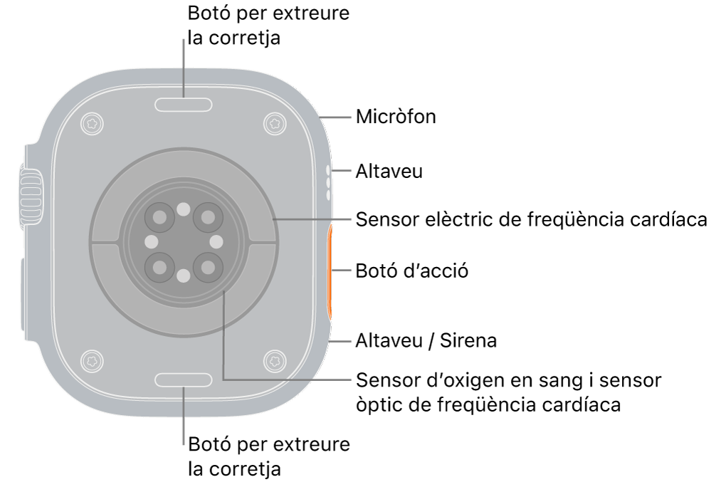 La part posterior de l’Apple Watch Ultra 3 amb els botons per obrir la corretja a dalt i a baix. Al lateral hi ha un micròfon, un altaveu, el sensor elèctric de freqüència cardíaca, el botó d’acció, un port d’altaveu des del qual emet sons la sirena, els sensors d’oxigen en sang i els sensors òptics cardíacs.