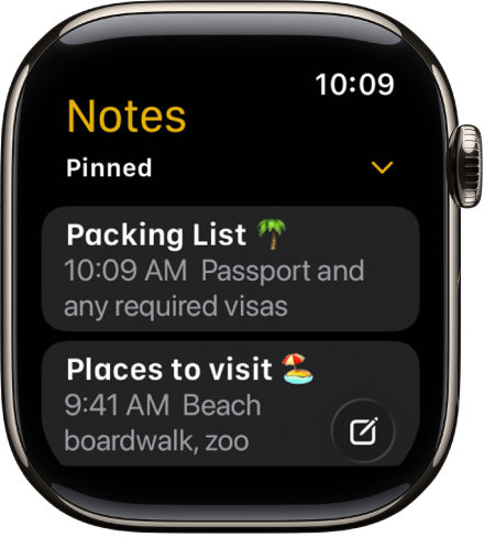 The Notes screen showing two pinned notes.