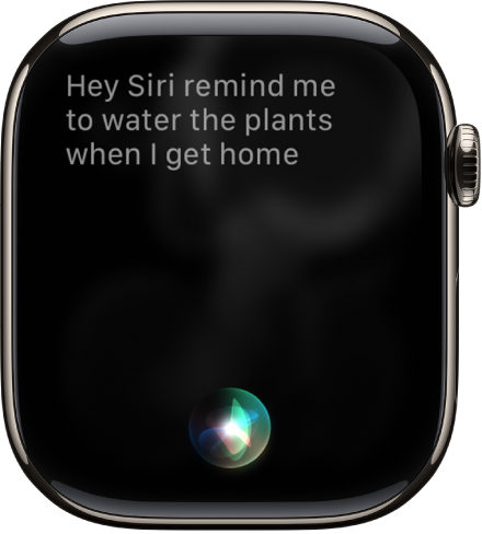 The Siri screen showing a request to set a reminder.