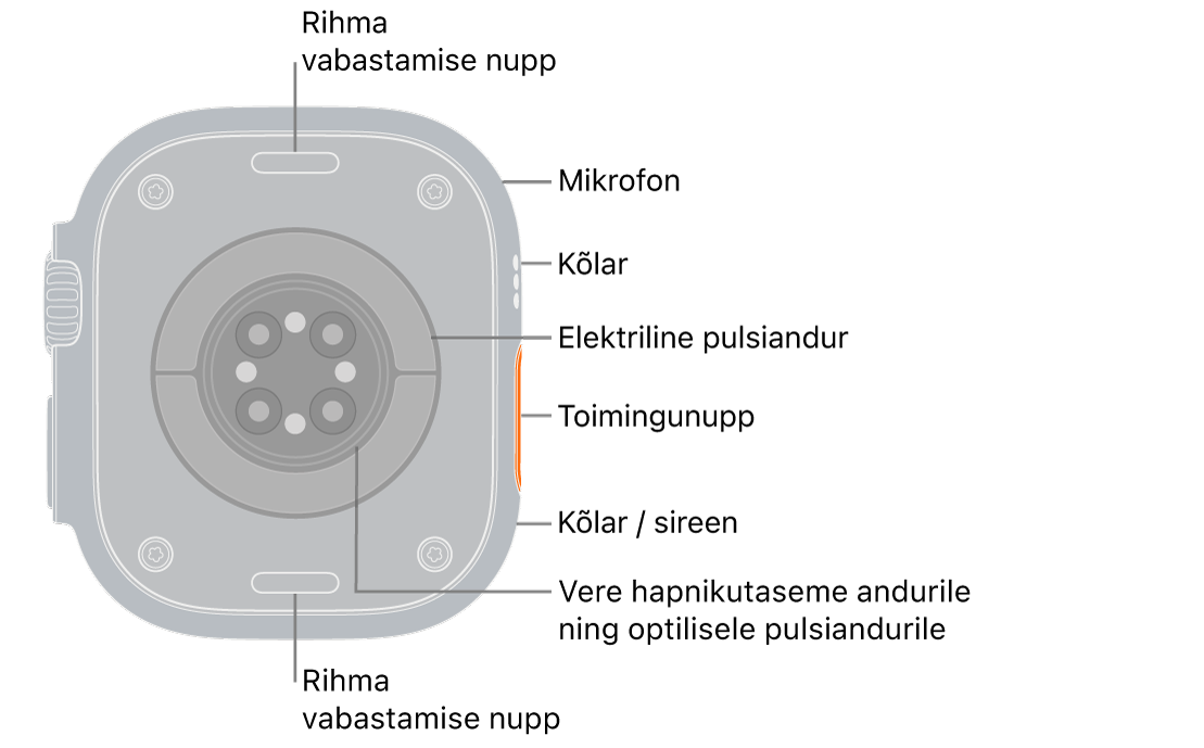 Apple Watch Ultra 3 tagakülg, kus üleval ja all on rihma vabastusnupud. Külje peal on mikrofon, kõlar, elektriline südameandur, toimingunupp, sireeni kõlariport, verehapniku andur ning optiline südameandur.