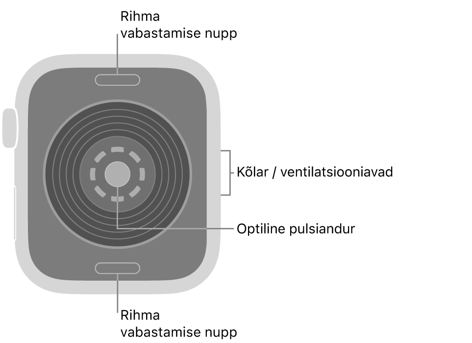 Apple Watch SE 3 tagakülg, kus üleval ja all on rihma vabastusnupud, optiline südamepulsiandur keskel ning kõlar/ventilatsiooniavad küljel.