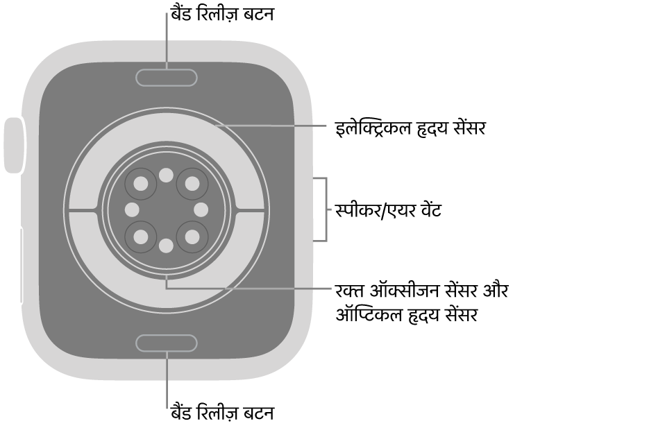 Apple Watch Series 11 का पीछे का हिस्सा, जिसके शीर्ष पर और नीचे की ओर बैंड रिलीज़ बटन, बीच में इलेक्ट्रिकल हृदय सेंसर, ऑप्टिकल हृदय सेंसर और रक्त ऑक्सीजन सेंसर और साइड में स्पीकर/एयर वेंट हैं।