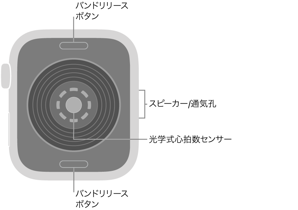 Apple Watch SE 3の背面で、上下にバンドリリースボタン、中央に光学式心拍数センサー、側面にはスピーカー/通気孔があります。