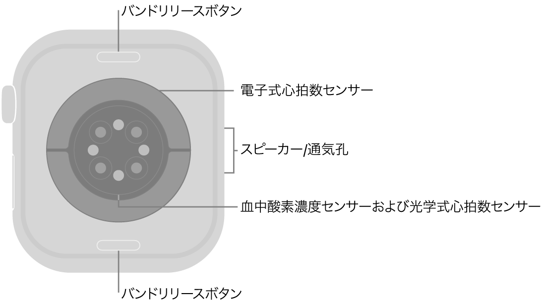 Apple Watch Series 10の背面で、上下にバンドリリースボタン、中央に電気式心拍数センサー、光学式心拍数センサー、血液酸素ウェルネスセンサー、側面にはスピーカー/通気孔があります。