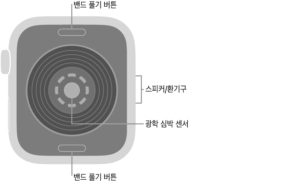상단 및 하단에 밴드 풀기 버튼, 중앙에 광학 심장 센서, 측면에 스피커/환기구가 보이는 Apple Watch SE 3의 후면.