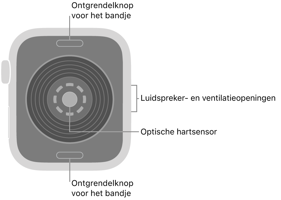 De achterkant van de Apple Watch SE 3, met aan de boven- en onderkant de ontgrendelknoppen van het bandje, in het midden de optische hartsensor en aan de zijkant de luidspreker- en ventilatieopeningen.