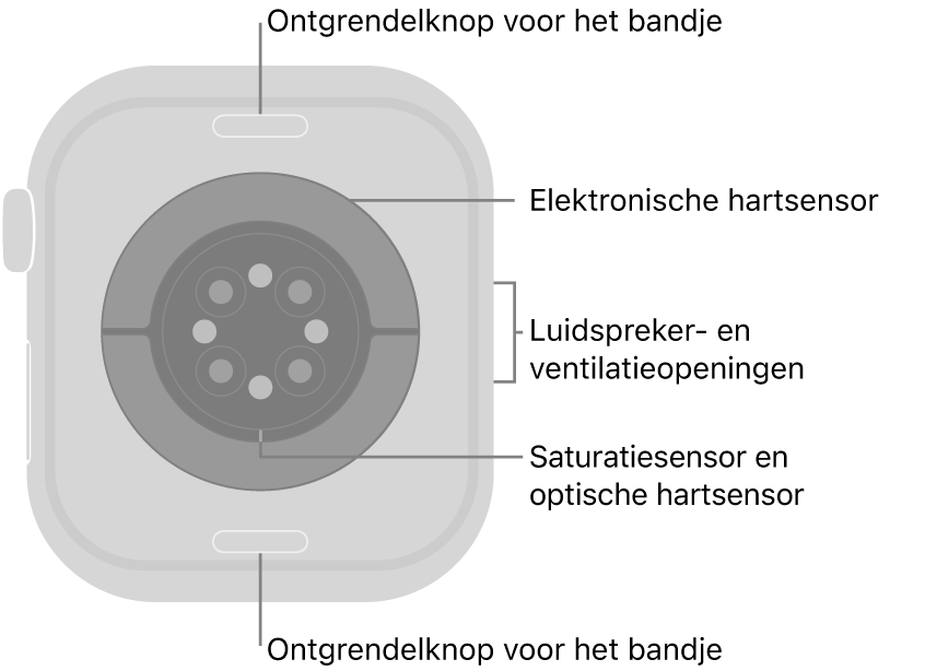 De achterkant van de Apple Watch Series 10, met aan de boven- en onderkant de ontgrendelknoppen van het bandje, in het midden de elektrische hartsensoren, de optische hartsensoren en de saturatiesensoren, en aan de zijkant de luidspreker- en ventilatieopeningen.
