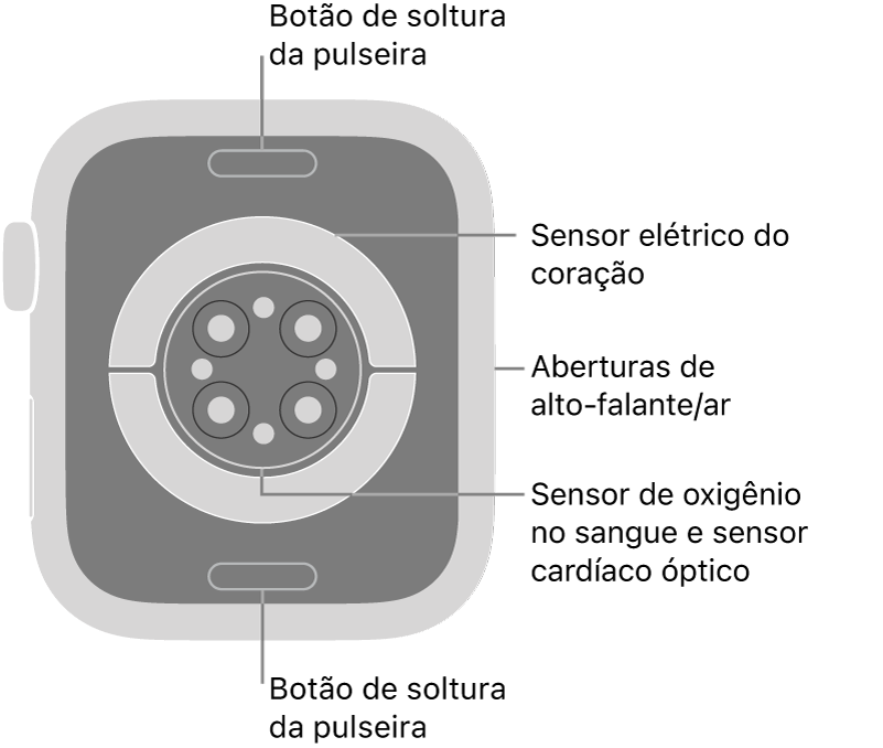 A parte traseira do Apple Watch Series 9, com os botões para soltar a pulseira na parte superior e inferior, os sensores elétricos cardíacos, ópticos cardíacos e de oxigênio no sangue no meio, e o alto-falante e as saídas de ar na lateral.