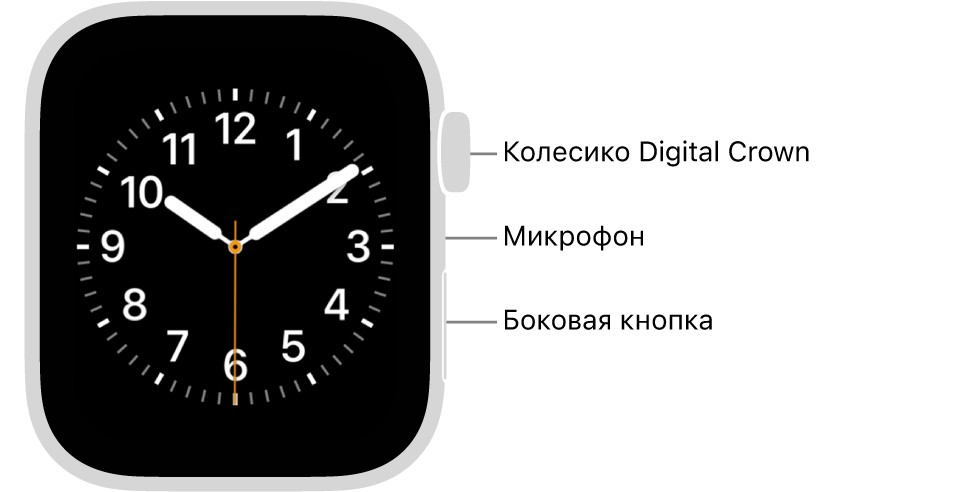 Лицевая сторона Apple Watch Series 6. На дисплее показан циферблат. Сбоку на корпусе часов показаны сверху вниз: колесико Digital Crown, микрофон и боковая кнопка.