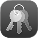 The iCloud Keychain icon.