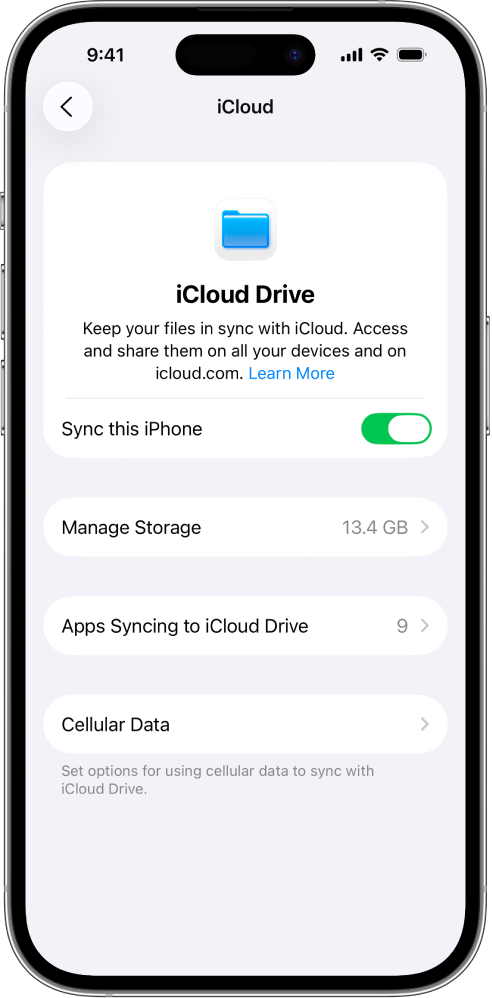 iCloud 설정의 iCloud Drive 화면. 이 iPhone 동기화가 켜져 있음.