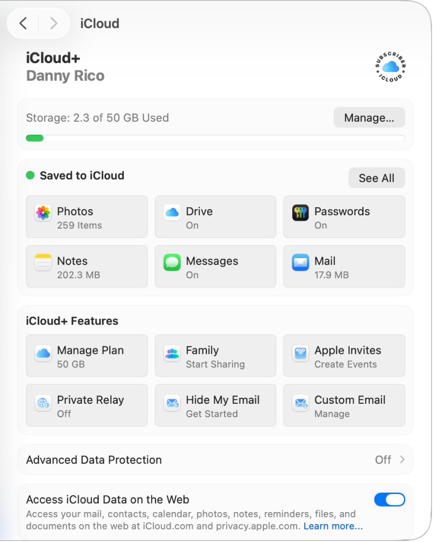 Het venster 'Systeeminstellingen' met geselecteerde iCloud-functies.