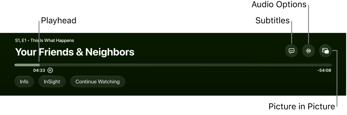 Playback controls