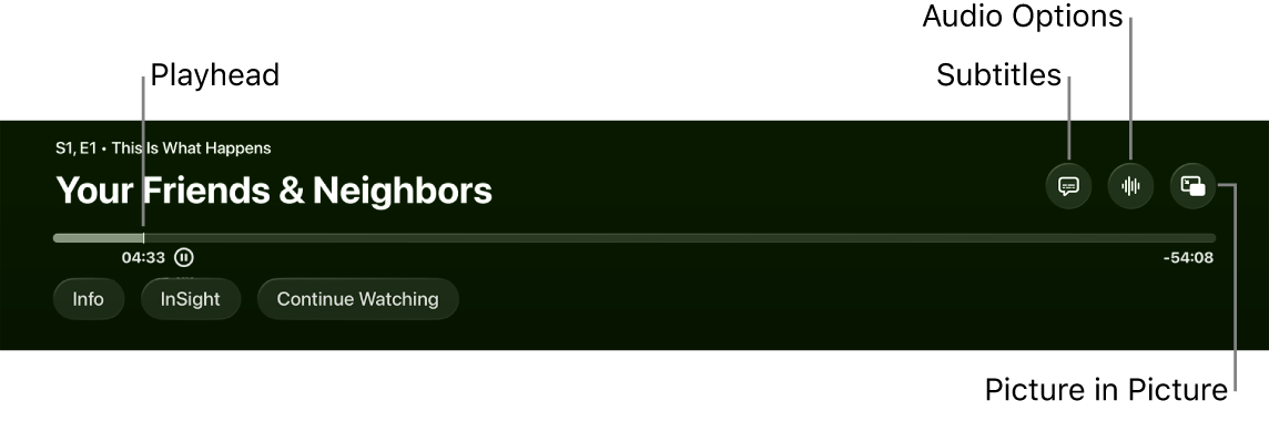 Playback controls