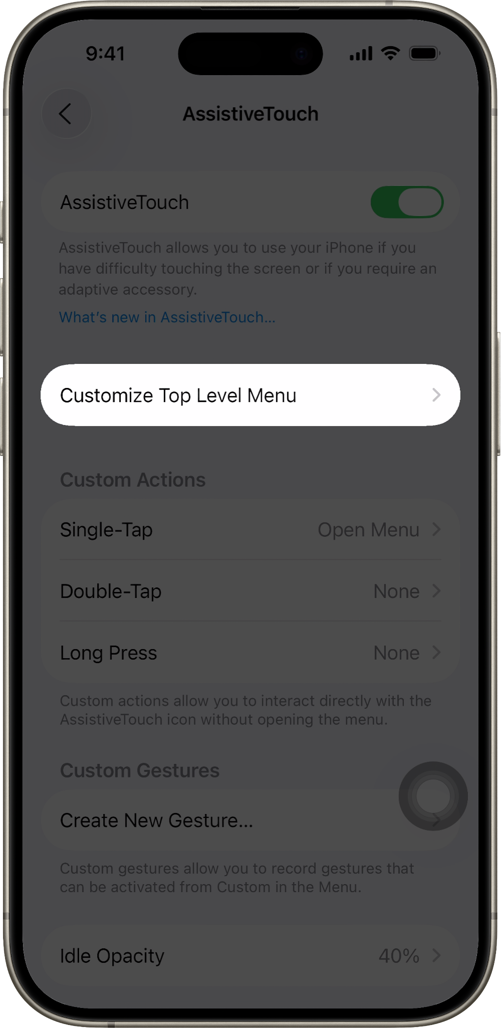 An iPhone screen highlighting Customize Top Level Menu option.