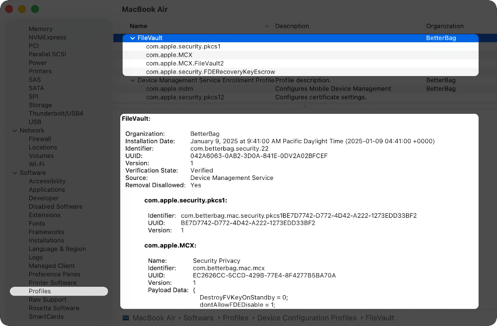 The view of a profile’s contents in System Information.
