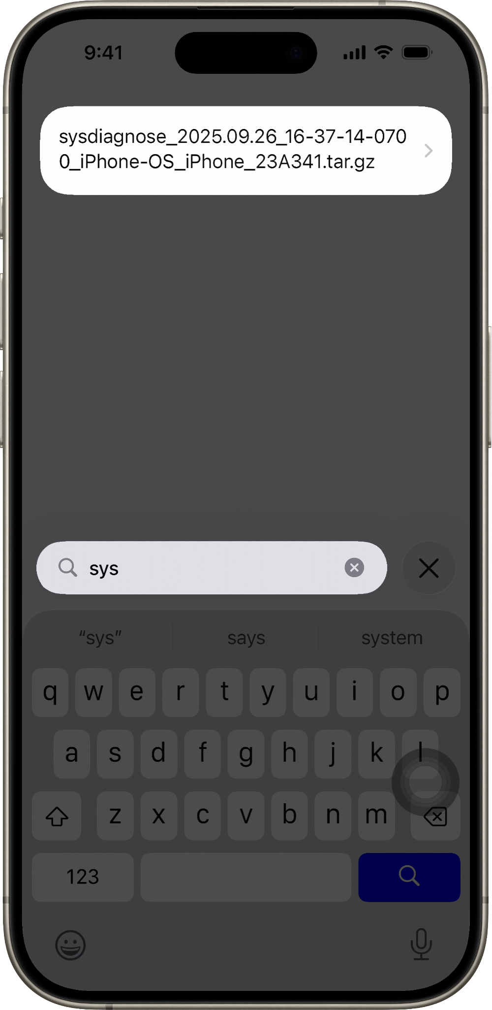 An iPhone screen that shows the search bar with sys in the search field and a file that contains sys.
