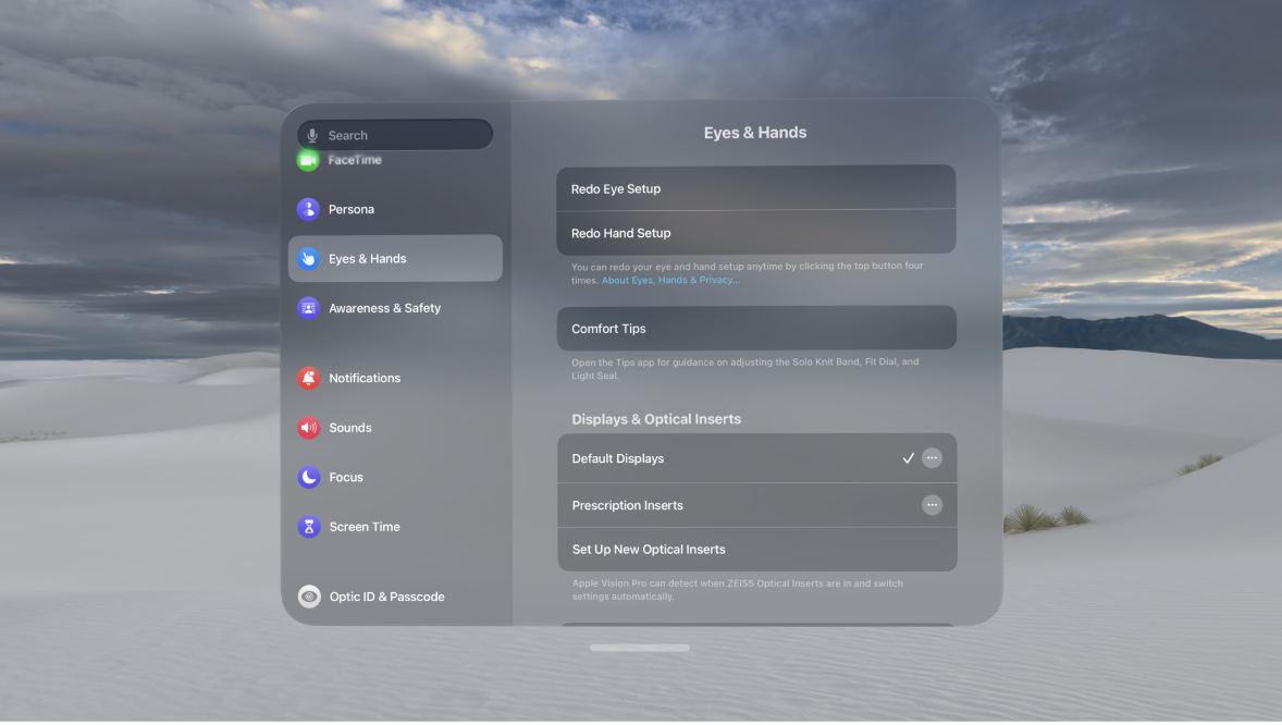 Eyes & Hands settings, with options to redo eye and hand setup, change Hand Input settings, and more.