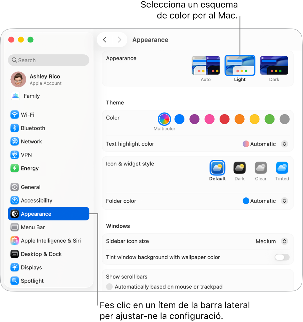 La finestra Aspecte de l’app Configuració del Sistema.