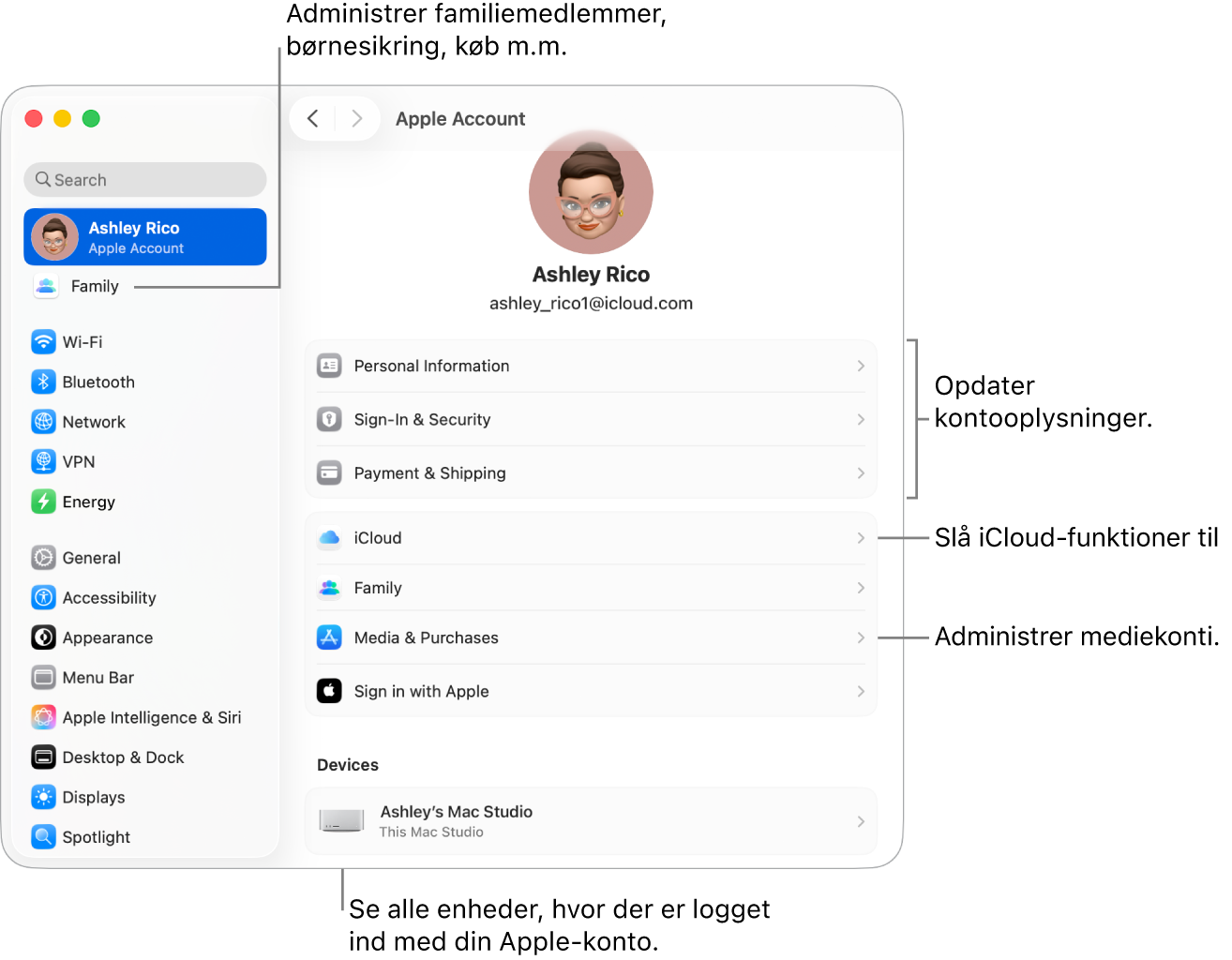 Indstillingerne til Apple-konto i Systemindstillinger med billedforklaringer til at opdatere kontooplysninger, slå iCloud-funktioner til og fra, administrere mediekonti samt Familie, hvor du kan administrere familiemedlemmer, børnesikring, køb m.m..