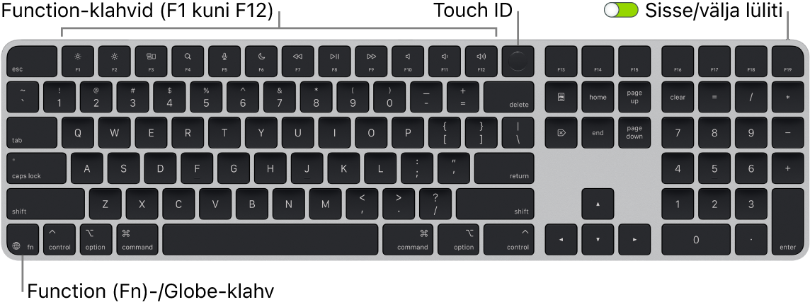 Touch ID-ga ja numbriklahvistikuga Magic Keyboard, mille ülaosas on funktsiooniklahvide rida ja Touch ID ning all vasakul klahv Function (Fn)/Globe.