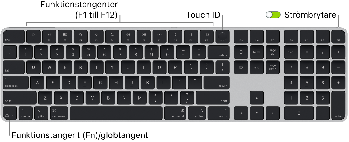 Magic Keyboard med Touch ID och numeriskt tangentbord där raden med funktionstangenter och Touch ID visas längs överkanten och funktions (Fn)-/globtangenten i nedre vänstra hörnet.