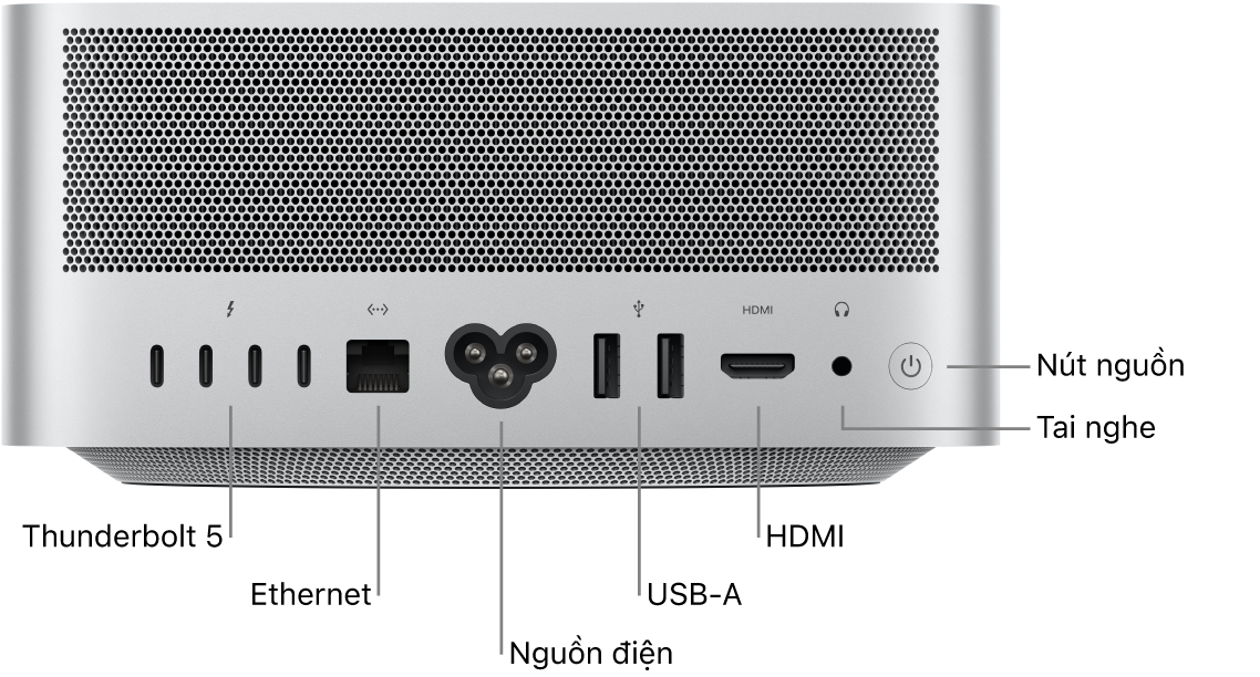 Mặt sau của Mac Studio đang hiển thị bốn cổng Thunderbolt 5 (USB-C), cổng Gigabit Ethernet, cổng nguồn, hai cổng USB-A, cổng HDMI, giắc cắm tai nghe 3,5 mm và nút nguồn.