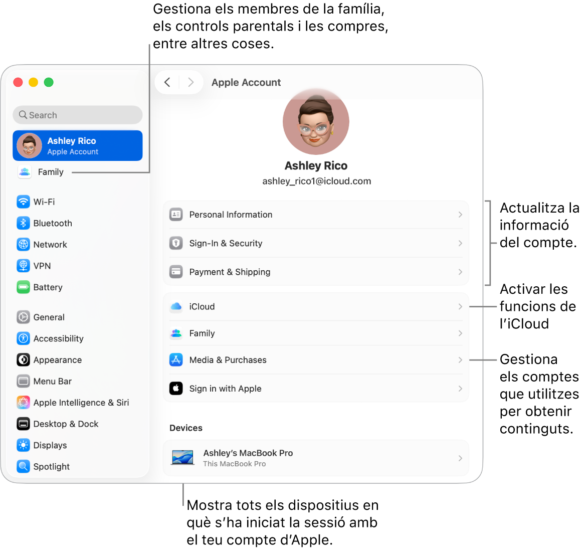 A la configuració del sistema, es veu la secció del compte d’Apple, amb opcions per actualitzar la informació del compte, activar o desactivar les funcions de l’iCloud o gestionar els comptes de contingut multimèdia, i la secció “En família”, amb opcions per configurar un grup familiar, establir controls parentals i administrar les compres, entre altres coses.