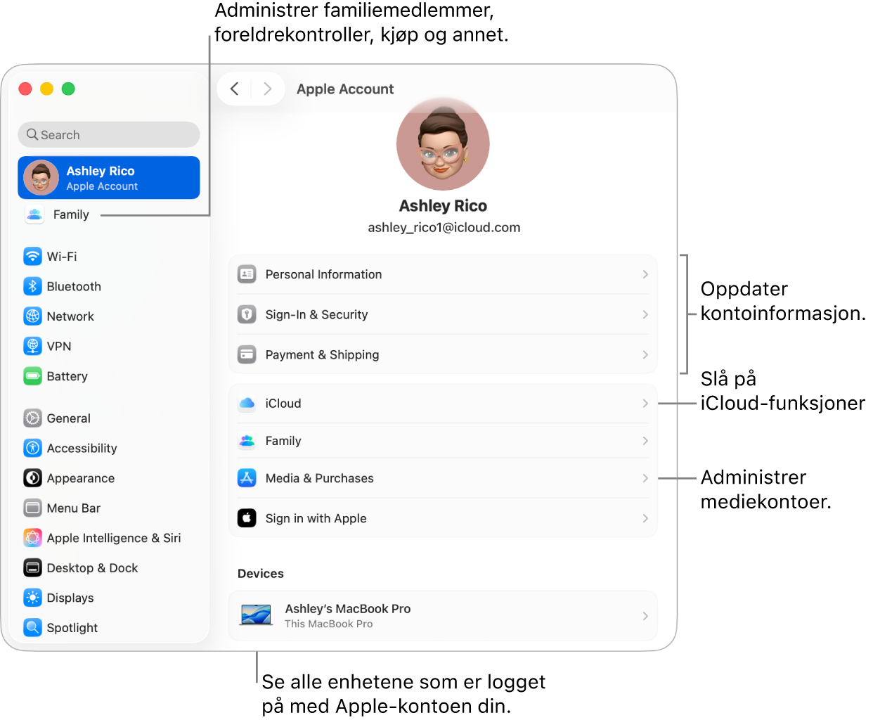 Apple-konto-innstillinger i Systeminnstillinger med forklaringer for hvordan du oppdaterer kontoinformasjon, slår av eller på iCloud-funksjoner, administrerer mediekontoer, og Familie, der du kan administrere familiemedlemmer, foreldrekontroller, kjøp og mer.