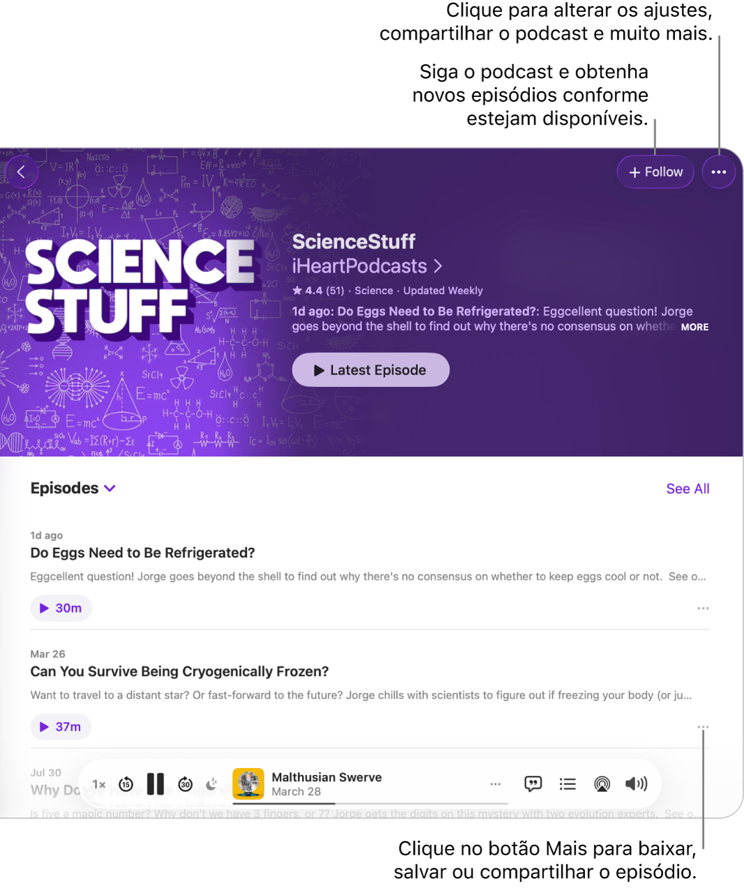 Janela do app Podcasts mostrando uma lista de episódios de um podcast. O botão Seguir na parte superior da janela permite seguir o podcast, e o botão Mais ao lado de cada episódio permite baixar ou salvar o episódio.