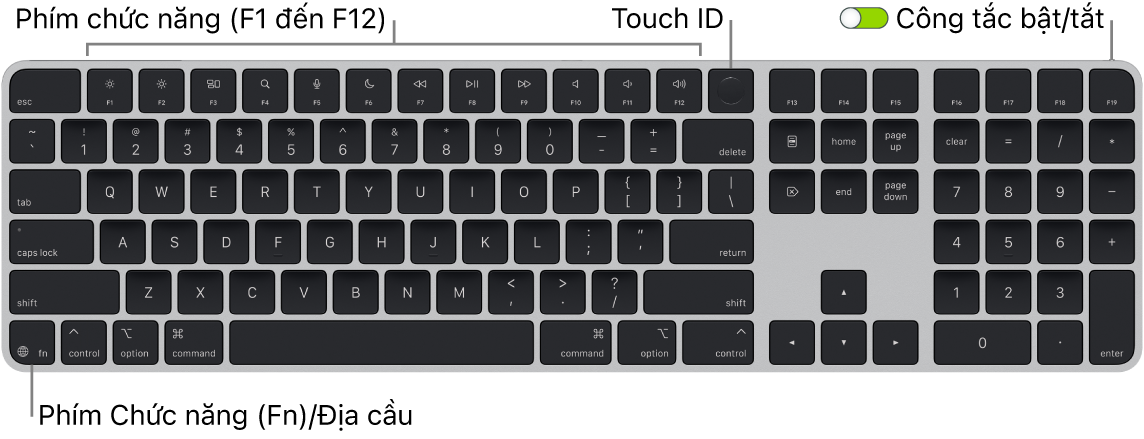 Magic Keyboard có Touch ID và Bàn phím số đang hiển thị hàng các phím chức năng, Touch ID ở trên cùng và phím Chức năng (Fn)/Địa cầu ở dưới cùng bên trái.