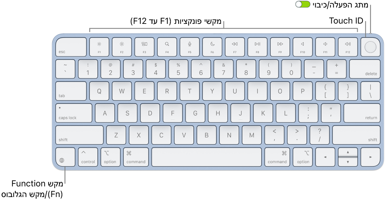 ה-Magic Keyboard עם ה-Touch ID מציגה את שורת מקשי הפונקציה וה-Touch ID לאורך החלק העליון, ואת מקש הפונקציה (Fn)/גלובוס משמאל למטה.