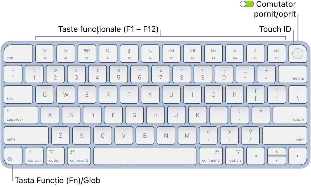Tastatura Magic Keyboard cu Touch ID afișând rândul de taste funcționale și senzorul Touch ID în partea de sus, precum și tasta Funcție (Fn)/Glob în colțul stânga jos.