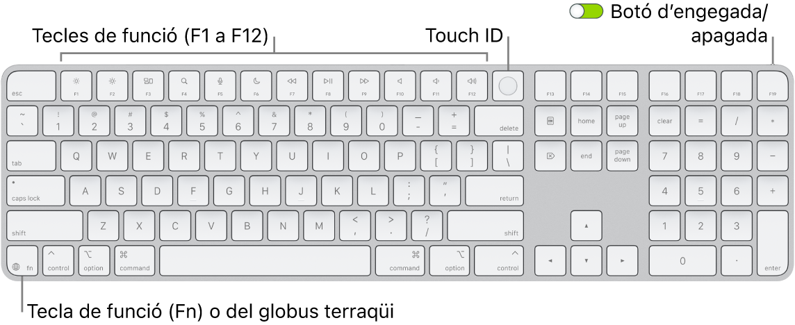 Un Magic Keyboard amb Touch ID i teclat numèric, en què es veu la filera de tecles de funció amb el Touch ID a la part superior i la tecla de funció (Fn) o del globus terraqüi a la dreta de la tecla Eliminar.