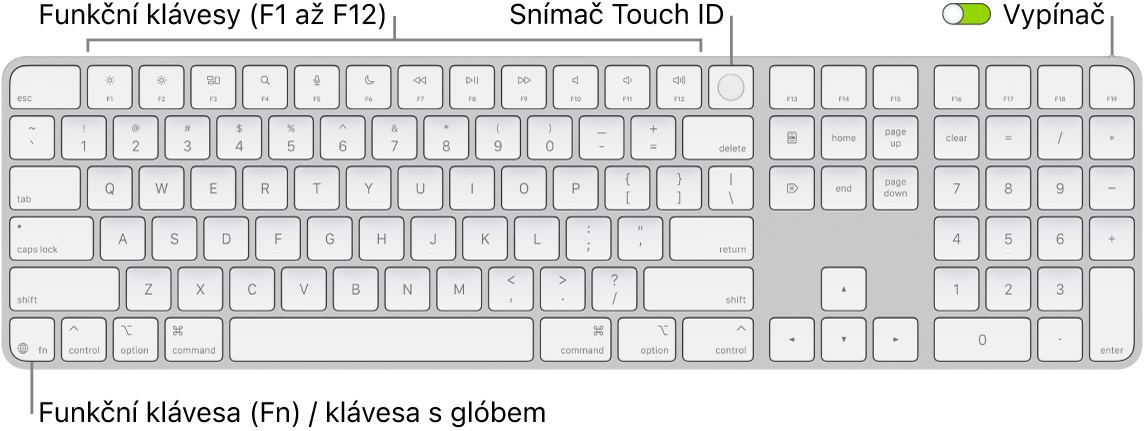 Klávesnice Magic Keyboard s Touch ID a numerickou klávesnicí, na které je vidět řada funkčních kláves a snímač Touch ID u horního okraje a funkční klávesa Fn / klávesa s glóbem napravo od klávesy Delete