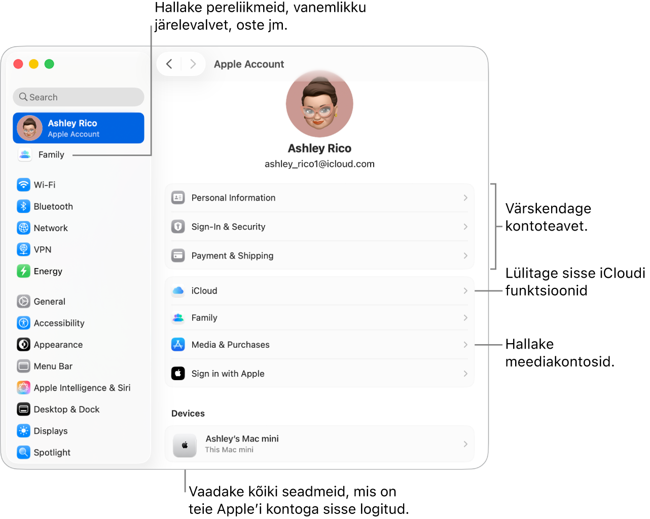 Apple’i konto seaded jaotises System Settings väljaviikudega kontoinfo värskendamiseks, iCloudi funktsioonide sisse või välja lülitamiseks, meediakontode haldamiseks ning jaotis Family, kust saate hallata pereliikmeid, vanemlikku järelevalvet, oste jm.