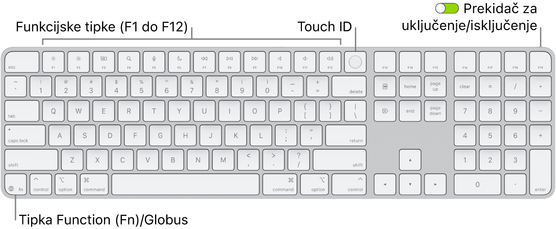 Magic Keyboard s Touch ID-jem i numeričkom tipkovnicom na kojem se vidi red funkcijskih tipki i Touch ID na vrhu i tipka Funkcija (Fn)/Globus s desne strane tipke Delete.