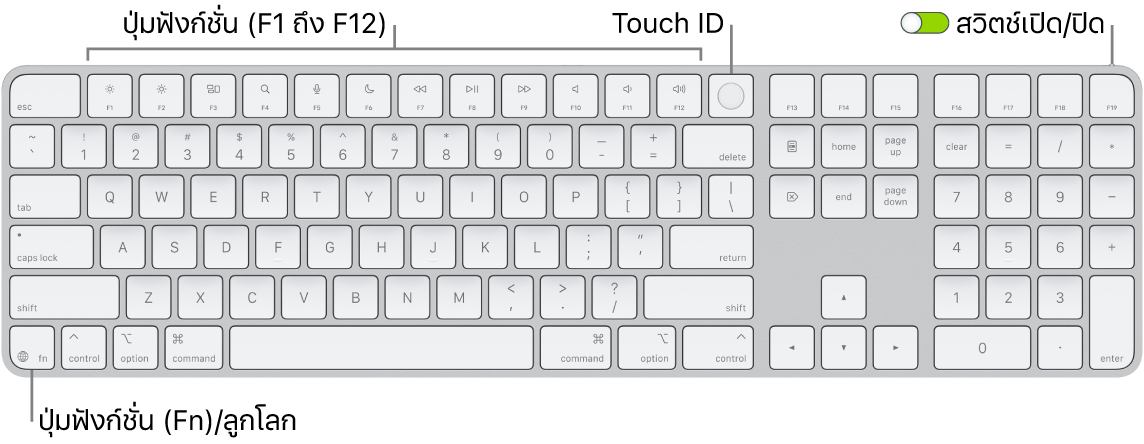 Magic Keyboard ที่มี Touch ID และปุ่มตัวเลขที่แสดงแถวของปุ่มฟังก์ชั่นและ Touch ID ตลอดแนวด้านบนสุด และปุ่มฟังก์ชั่น (Fn)/ลูกโลกที่ด้านขวาของปุ่ม Delete
