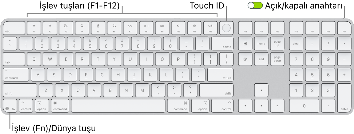 En üstte Touch ID ile işlev tuşları sırasını ve Sil tuşunun sağında İşlev (Fn)/Dünya tuşunu gösteren Touch ID ve Sayısal Tuş Takımı özellikli Magic Keyboard.