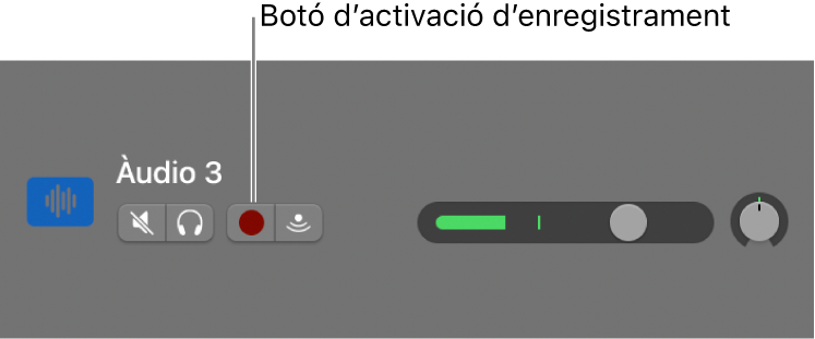 Capçalera de pista amb el botó “Activació d’enregistrament”.