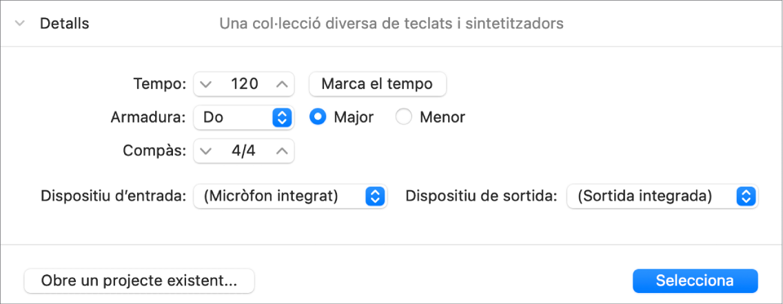 Àrea Detalls oberta al selector de projectes, que mostra els paràmetres.