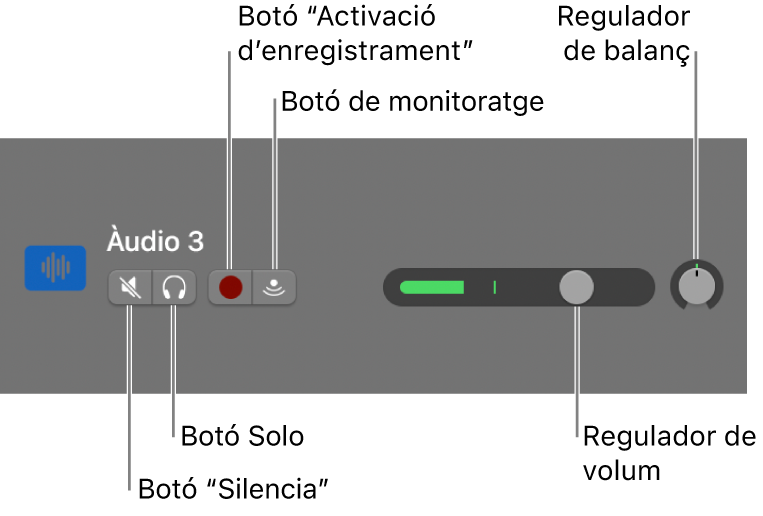 Capçalera de pista amb una descripció dels controls.