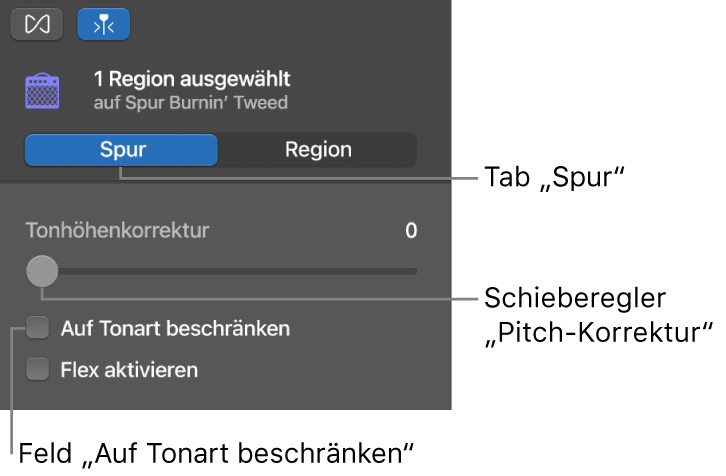 Informationsfenster „Audio-Editor“ im Spurmodus mit dem Regler „Pitch-Korrektur“ und dem Markierungsfeld „Auf Tonart beschränken“