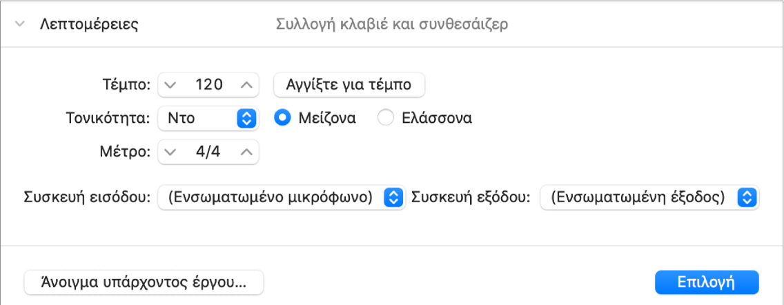 Περιοχή λεπτομερειών της ανοιχτής Επιλογής έργου, όπου εμφανίζονται οι παράμετροι