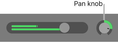 Track header showing Pan knob.