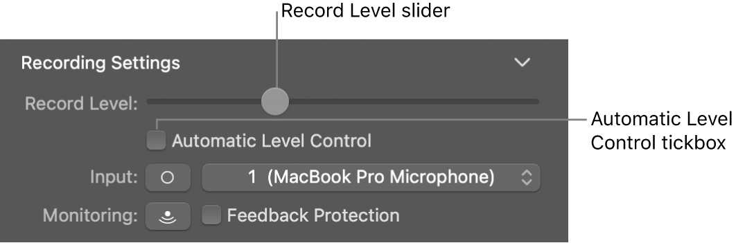 The Record Level slider and Automatic Level Control tickbox in the Smart Controls inspector.